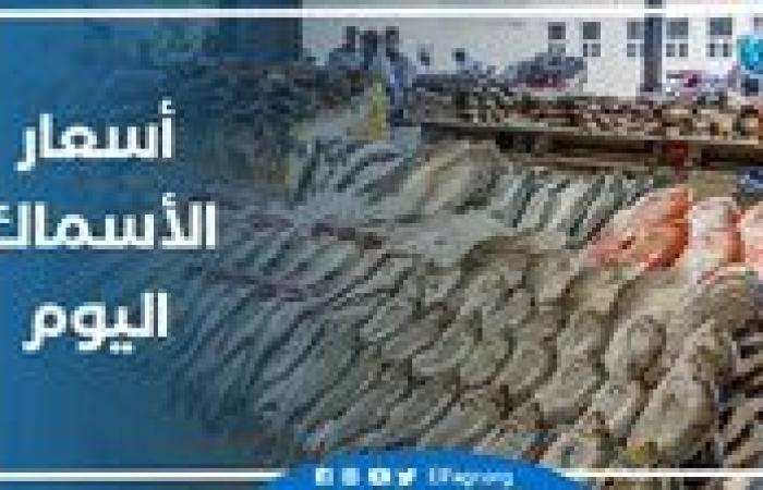 أسعار الأسماك اليوم الأحد 15-9-2024 في محافظة البحيرة