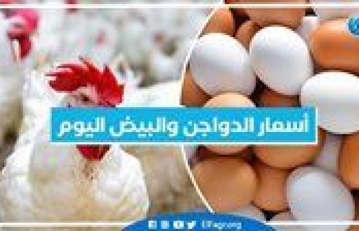 أسعار الدواجن والبيض اليوم الأحد 15-9-2024 بمحافظة البحيرة