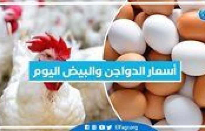 أسعار الدواجن والبيض اليوم الأحد 15-9-2024 في المنيا