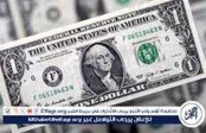 استقرار ملحوظ في سعر الدولار أمام الجنيه المصري: تفاصيل الأسعار اليوم