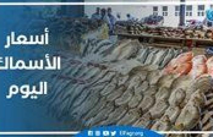 أسعار السمك اليوم الإثنين 16-9-2024   في محافظة قنا