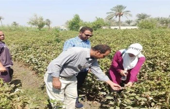 محافظ الفيوم يتابع جهود مديرية الزراعة خلال شهر أغسطس الماضي