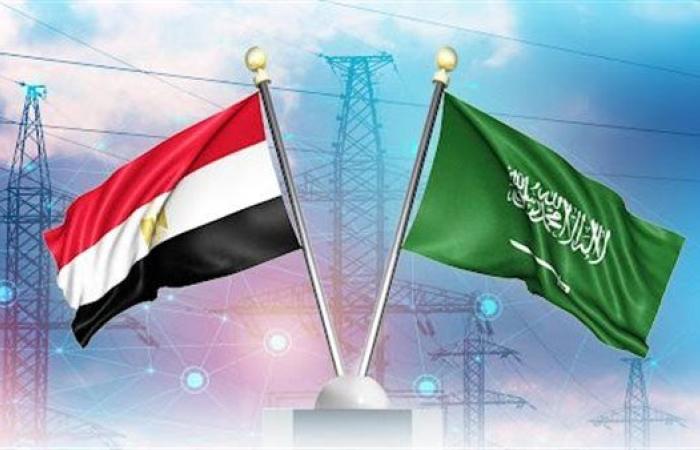 ولي العهد السعودي يوجه بضخ 5 مليارات دولار كمرحلة أولي استثمارات في مصر