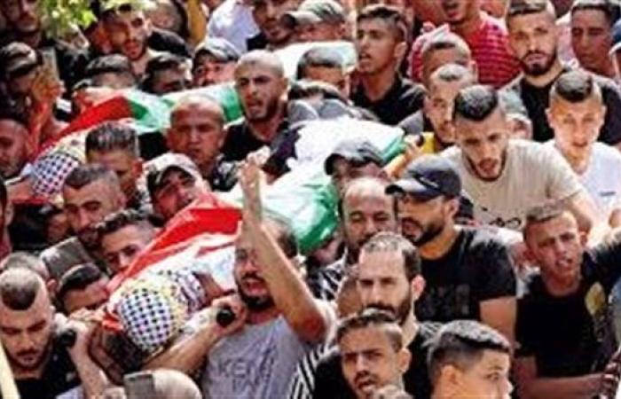 تربية فلسطين: استشهاد 11 ألف طالب وإصابة 17772 منذ بداية العدوان