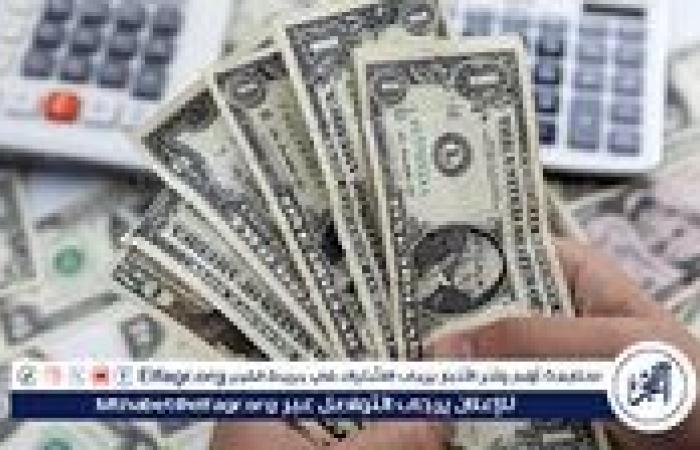 الدولار يستقر عند مستويات مرتفعة في السوق المصري: تفاصيل الأسعار اليوم