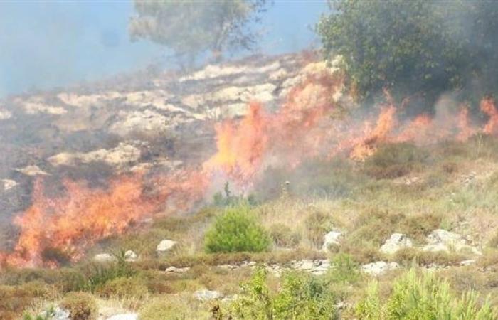 مستوطنون يحرقون مساحات واسعة من الأراضي الزراعية بقرية "المغير" شمال رام الله