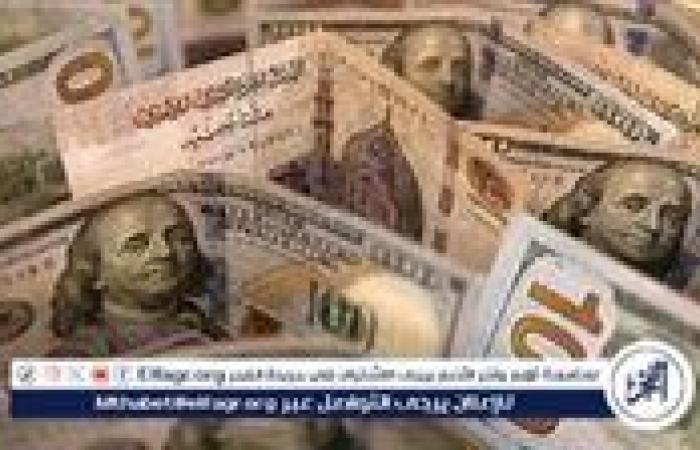 استقرار سعر الدولار مقابل الجنيه المصري في تعاملات اليوم الخميس 19 سبتمبر 2024