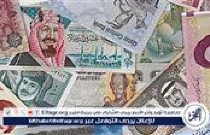 أسعار صرف الدرهم الإماراتي اليوم الجمعة 20-9-2024 في البنك المركزي المصري