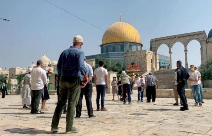 مستوطنون
      يقتحمون
      المسجد
      الأقصى
      بحماية
      شرطة
      الاحتلال
      الإسرائيلي