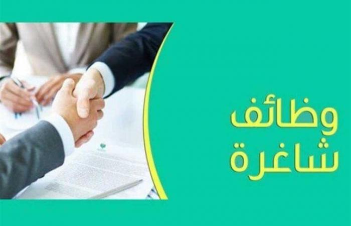 الراتب
      يصل
      إلى
      15
      ألف
      ريال..
      وظائف
      خالية
      في
      السعودية
      (التخصصات
      والمزايا)