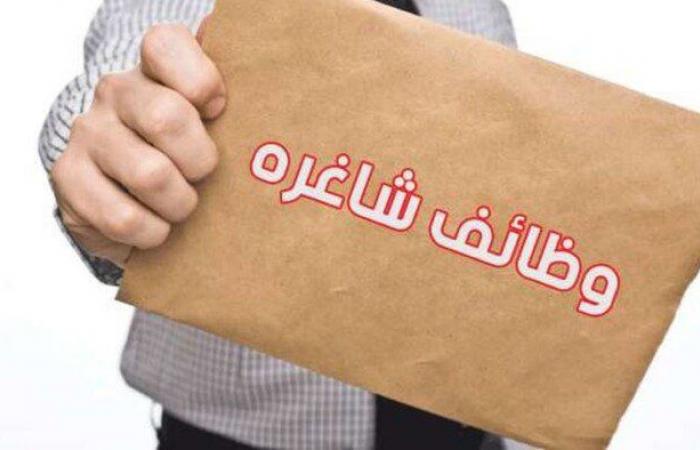 وظائف
      التضامن
      الاجتماعي..
      المهام
      والشروط
      وكيفية
      التقديم